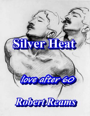 bigCover of the book Silver Heat by 