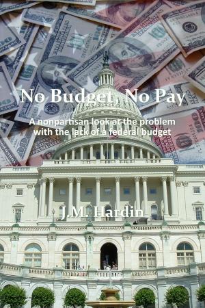 bigCover of the book No Budget, No Pay by 