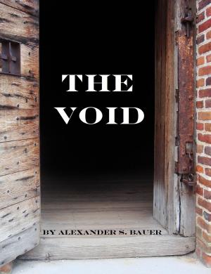 Cover of the book The Void by DEBRA ROBINSON, AMANDA CRUM, ALESHA ESCOBAR, SHANNON LAWRENCE, PAUL EDMONDS, T.J. TRANCHELL, JEFF BARKER, TIMOTHY HOBBS