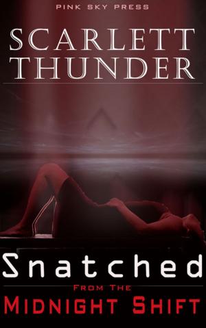 Book cover of Snatched From The Midnight Shift