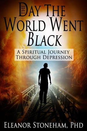 Book cover of The Day the World Went Black A Spiritual Journey Through Depression