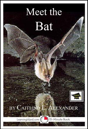 Cover of the book Meet the Bat: Educational Version by Jeannie Meekins