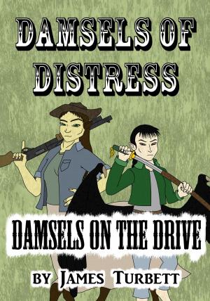 Book cover of Damsels of Distress, Damsels on the Drive