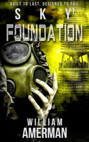 Cover of the book Sky1: Foundation by Robert Strasser