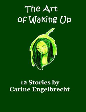 Book cover of The Art of Waking Up