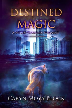 Cover of the book Destined Magic, A Witch Guardian Romance by Anya Allyn
