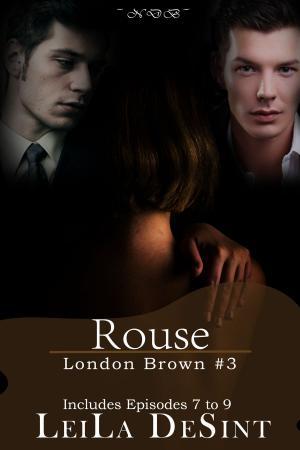 Cover of the book Rouse [London Brown #3] by V.A. Gyna