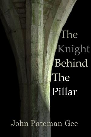 Book cover of The Knight Behind The Pillar