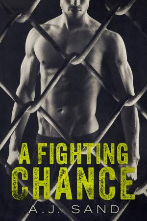 Cover of the book A Fighting Chance by R J Murray