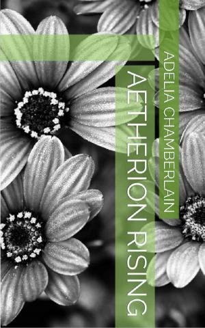 Cover of the book Aetherion Rising by Linda Lacy