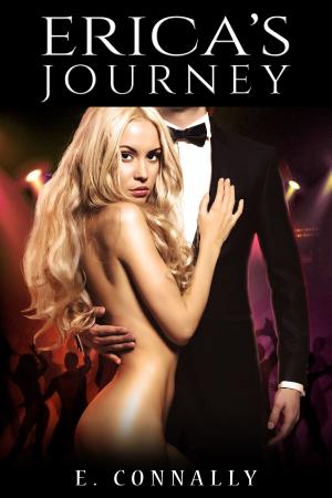Cover of the book Erica's Journey by Nicole Eglinger