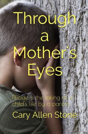 Book cover of Through a Mother's Eyes