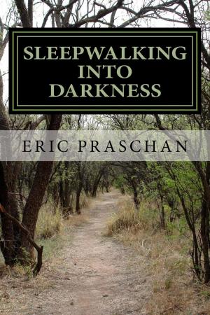 Book cover of Sleepwalking into Darkness (The James Women Trilogy Book 2)