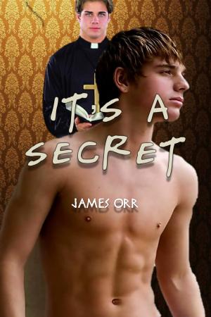 Cover of It's a Secret