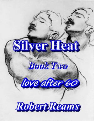 Book cover of Silver Heat II