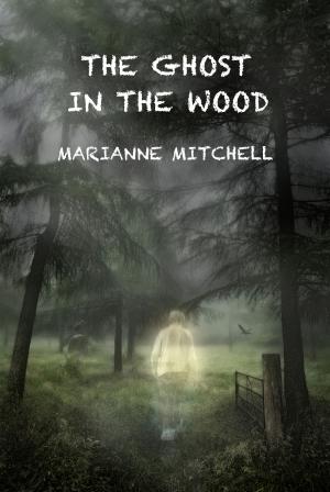 Cover of the book The Ghost in the Wood by Ralph Henry Barbour