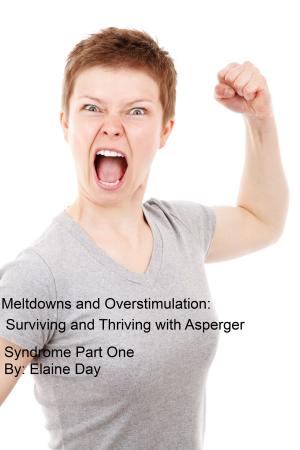 Book cover of Meltdowns and Overstimulation: Tips for Surviving and Thriving with Asperger Syndrome Part One