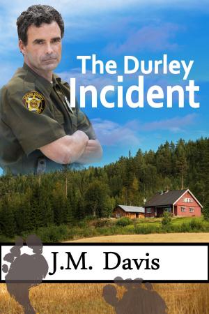 Book cover of The Durley Incident