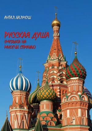Cover of Русская душа (музыка на многих струнах)