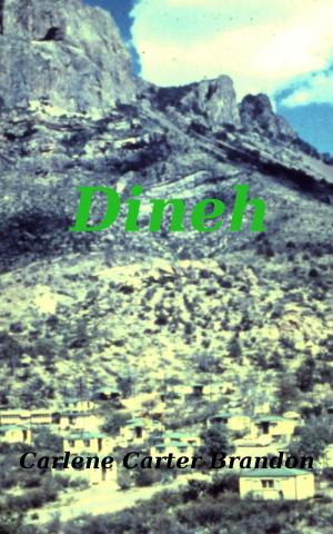 Cover of Dineh