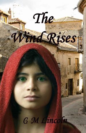 Book cover of The Wind Rises
