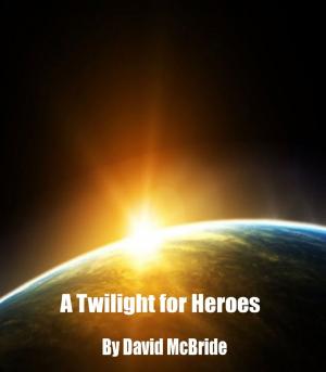 Cover of the book A Twilight for Heroes by Jere D. James