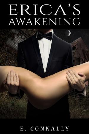 Cover of the book Erica's Awakening by Liriel Saarinen
