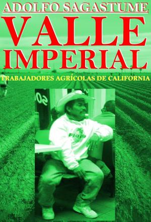 Cover of the book Valle Imperial: Trabajadores Agrícolas de California by Adolfo Sagastume