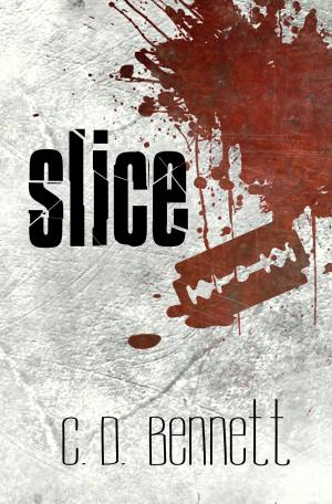 Cover of the book Slice by 郭箏