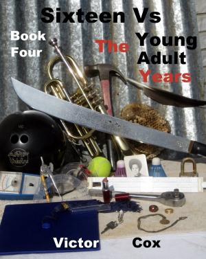 Cover of Sixteen Vs, Book Four, The Young Adult Years