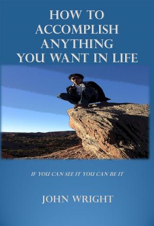 Cover of How to Accomplish Anything you Want in Life