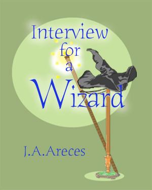 Cover of the book The Salem Concord Book 1: Interview for a Wizard by Lisa Arrington