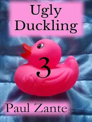 Book cover of Ugly Duckling - 3