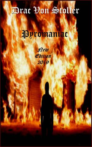 Cover of the book Pyromaniac by K. B. Miller