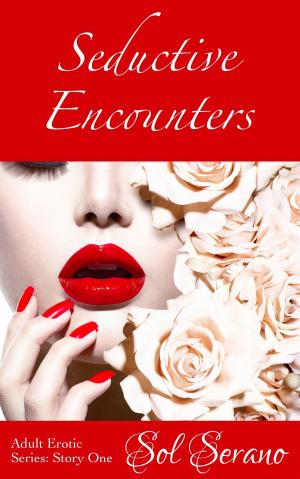 Cover of the book Seductive Encounters (Forbidden Romance, Infidelity, Graphic Sex Play) by Taryn James