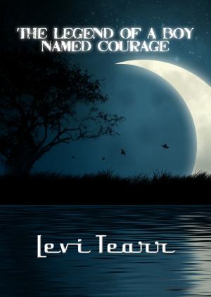 Cover of the book The Legend Of A Boy Named Courage by Kelley York, Rowan Altwood