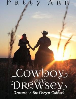 Book cover of Cowboy from Drewsey ~Return to Romance~ An Oregon Outback Adventure