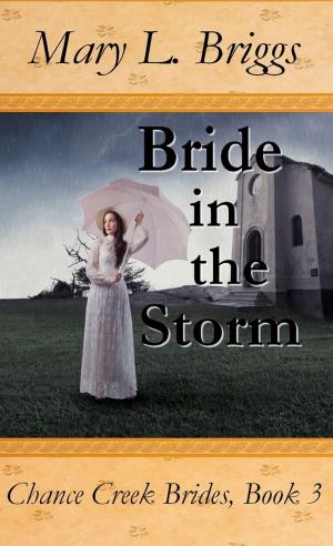 Cover of the book Bride in the Storm (Chance Creek Brides Book 3) by Mary L. Briggs