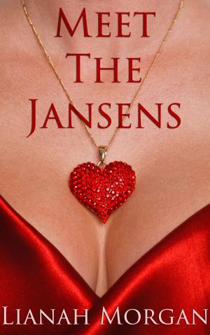Cover of the book Meet the Jansens by Nicholas J. Finch