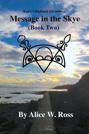 Book cover of Message in the Skye