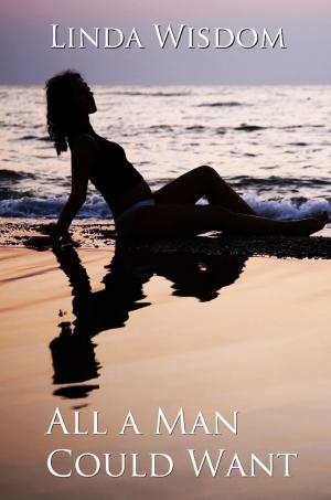 Cover of the book All A Man Could Want by Jessica Marin
