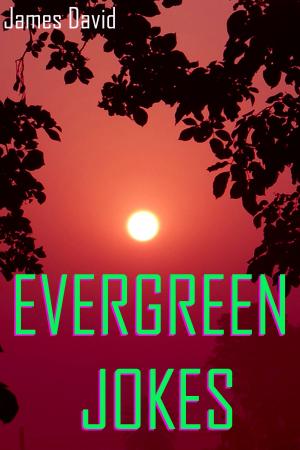 Cover of the book Evergreen Jokes by James David