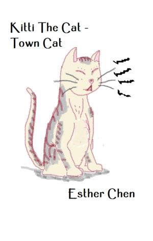 bigCover of the book Kitti The Cat: Town Cat by 