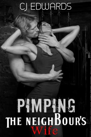 Book cover of Pimping The Neighbour's Wife