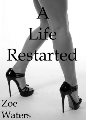 Book cover of A Life Restarted