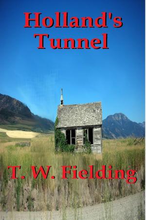 Cover of the book Holland's Tunnel by Magdalena Scott