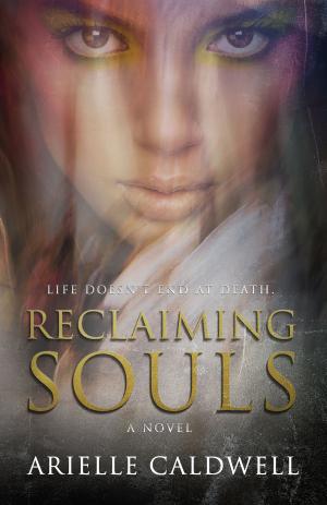 Cover of the book Reclaiming Souls by Sara Reinke