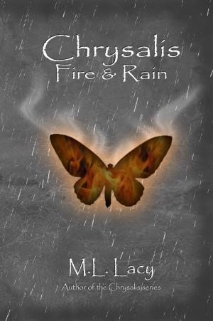 Book cover of Chrysalis Fire & Rain
