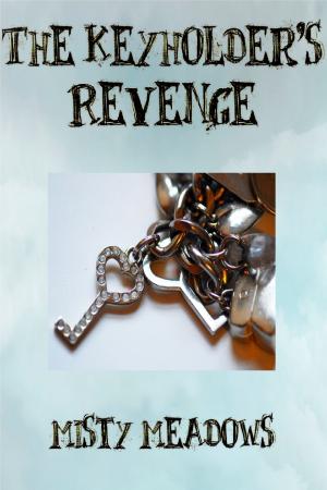 Book cover of The Keyholder's Revenge (Femdom, Chastity)