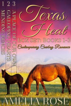 Book cover of Texas Heat Box Set: Books 1-3